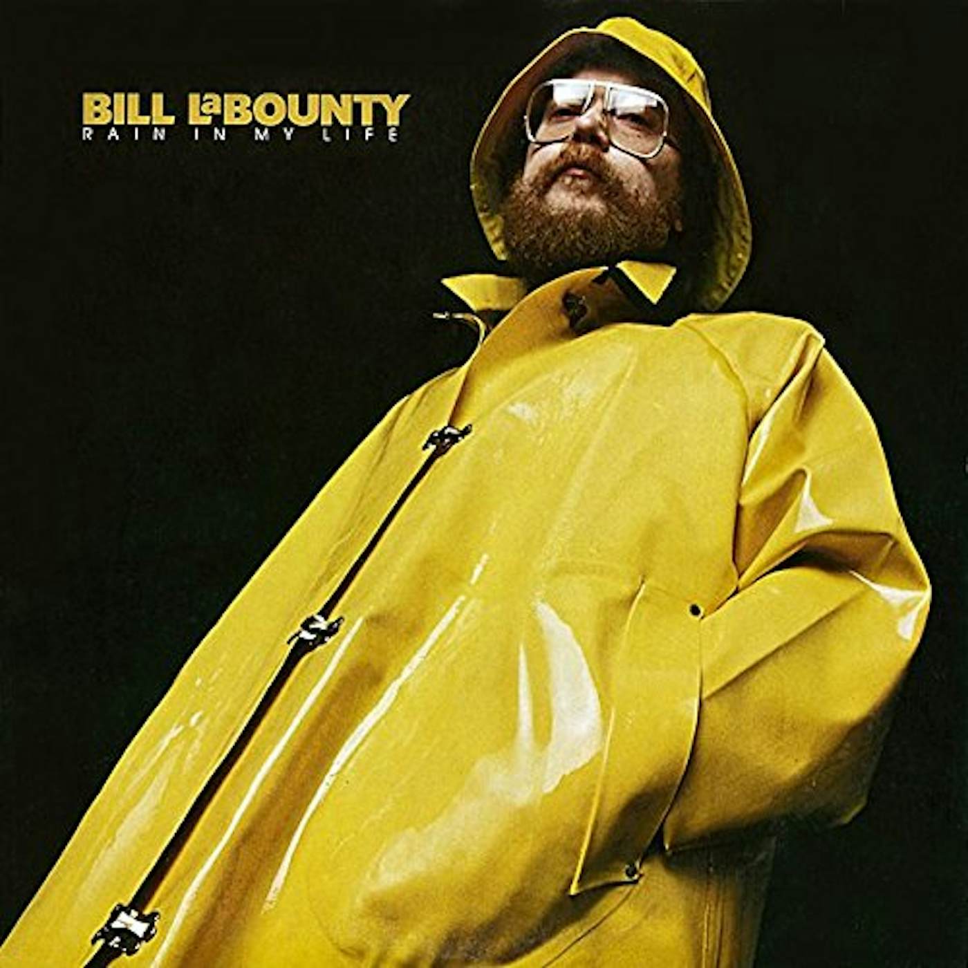 Bill LaBounty RAIN IN MY LIFE CD