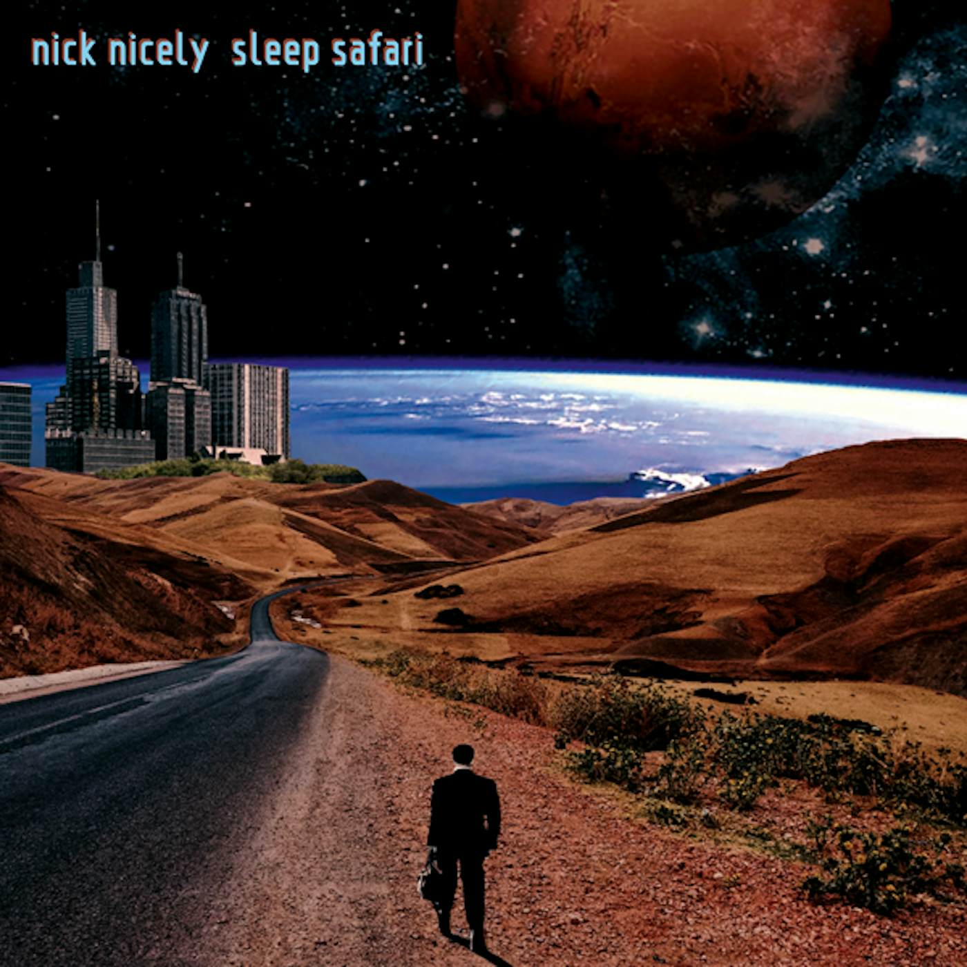 Nick Nicely Sleep Safari Vinyl Record