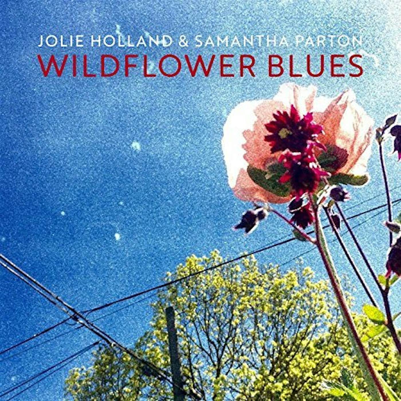 Jolie Holland & Samantha Parton WILDFLOWER BLUES CD