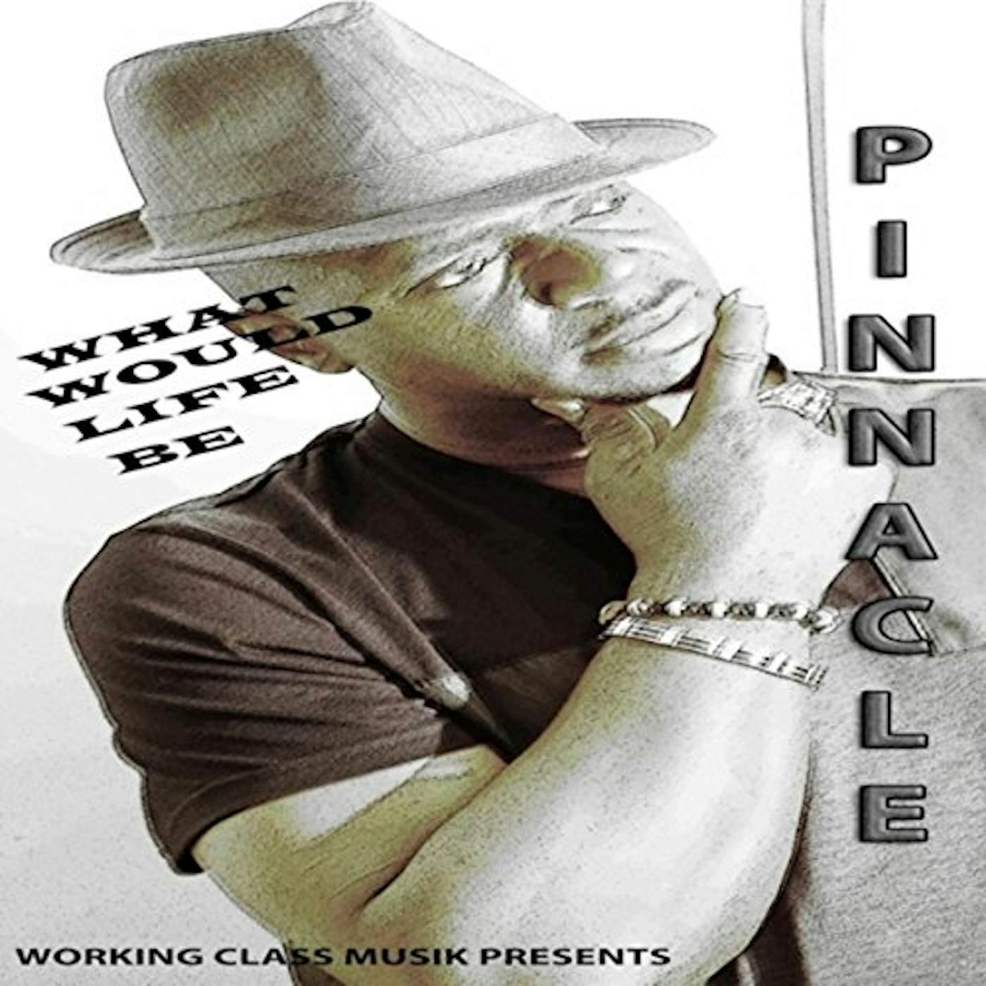 Pinnacle WHAT WOULD LIFE BE CD