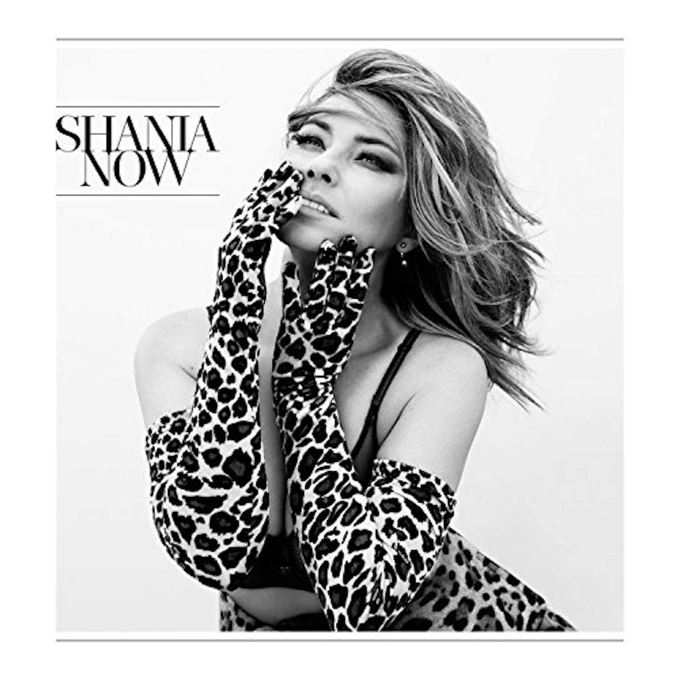 Shania Twain Now Vinyl Record