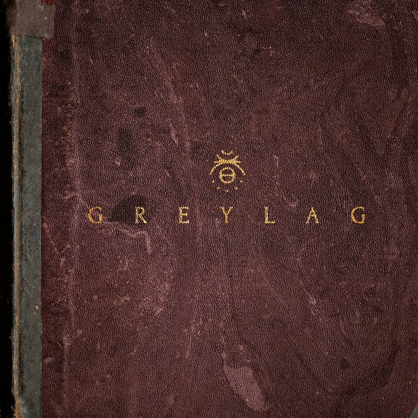 Greylag Vinyl Record