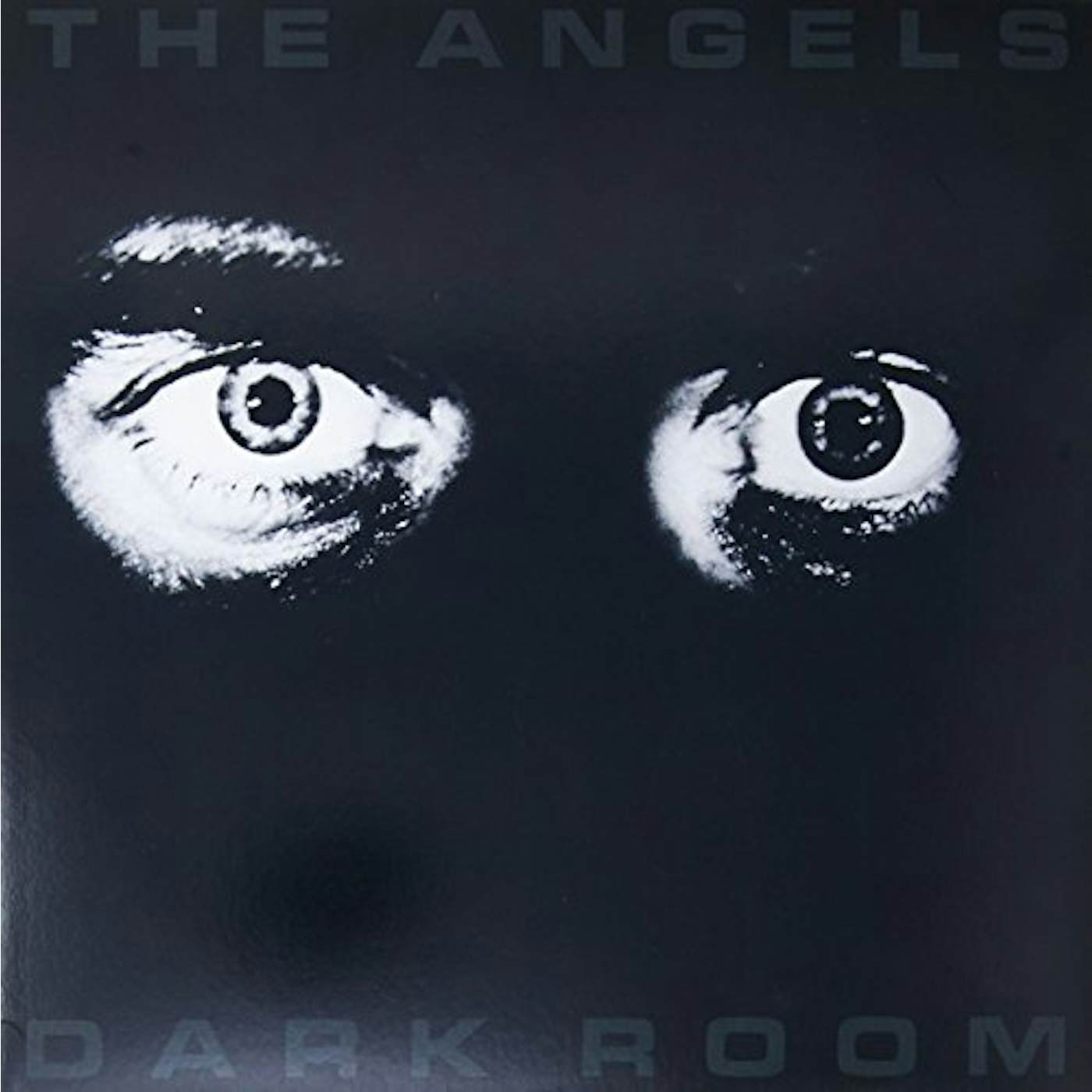 The Angels DARK ROOM Vinyl Record