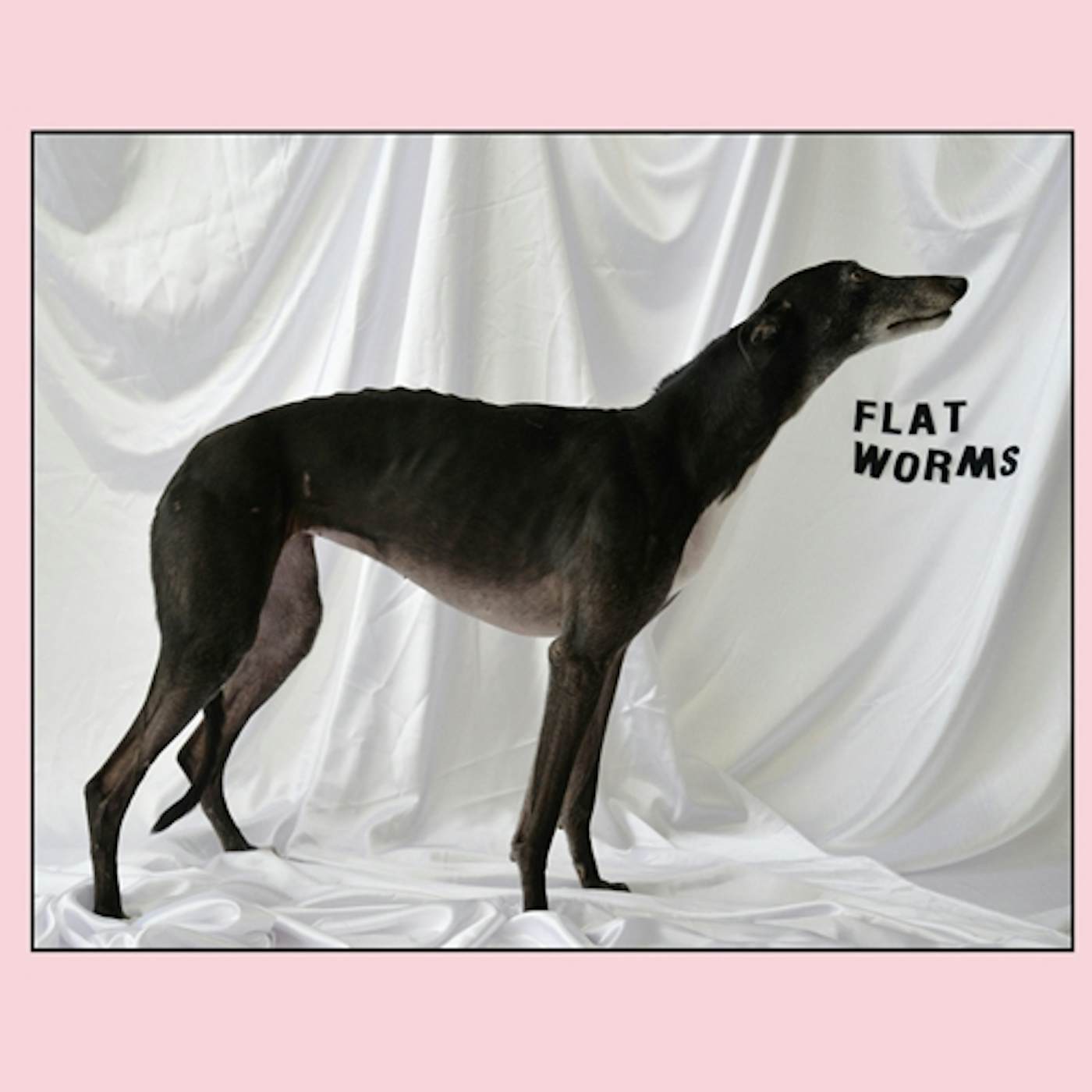 Flat Worms Vinyl Record