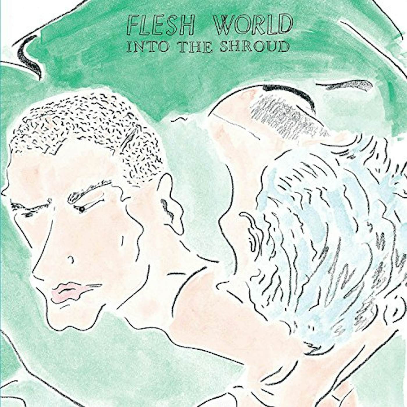 Flesh World Into the Shroud Vinyl Record