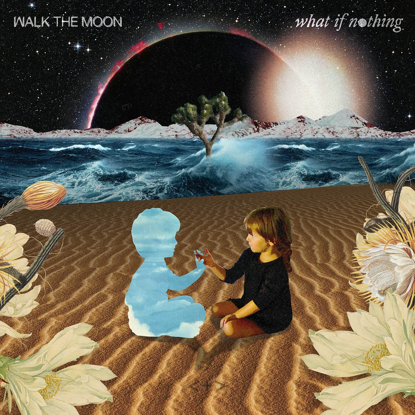 WALK THE MOON What If Nothing Vinyl Record