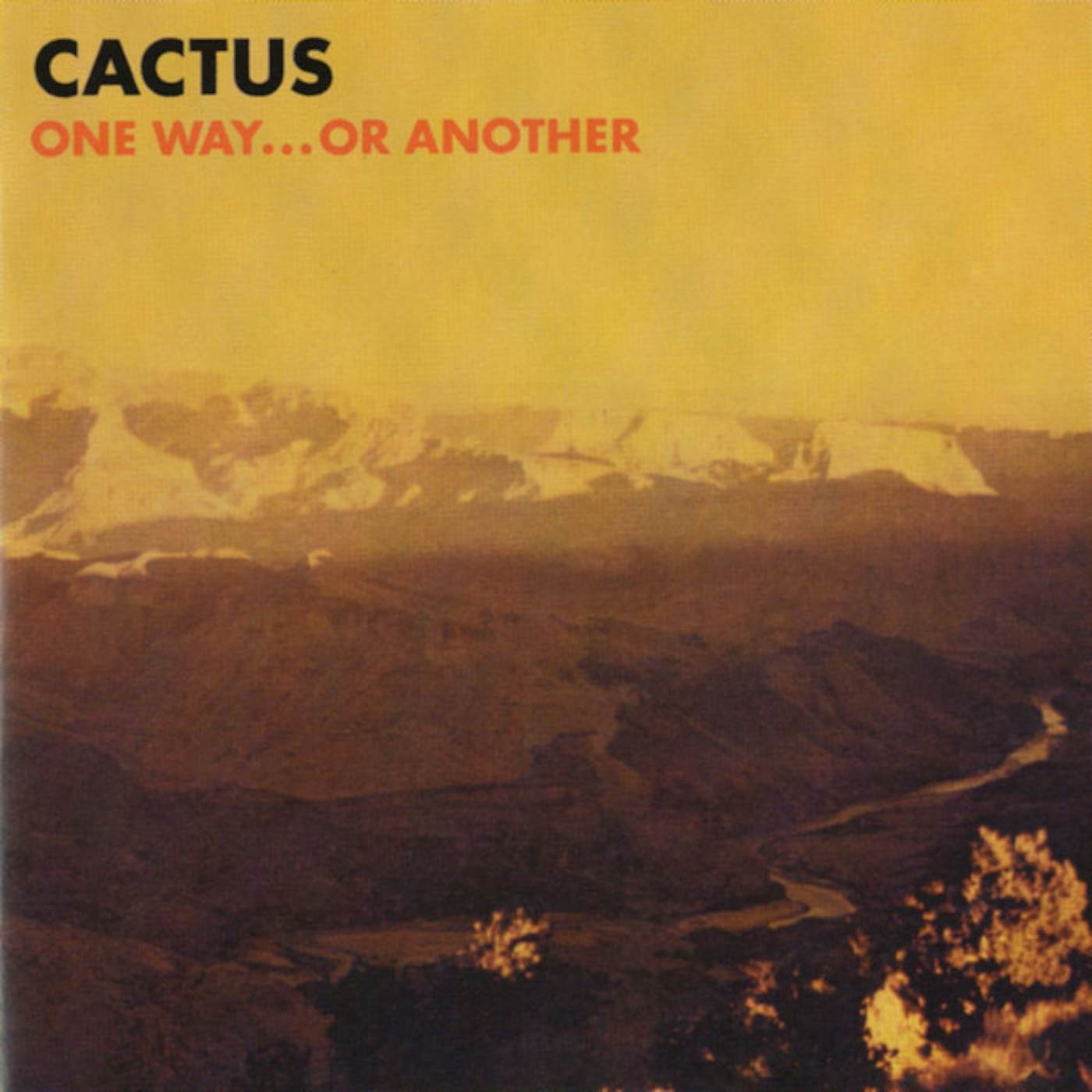 Cactus ONE WAY OR ANOTHER Vinyl Record