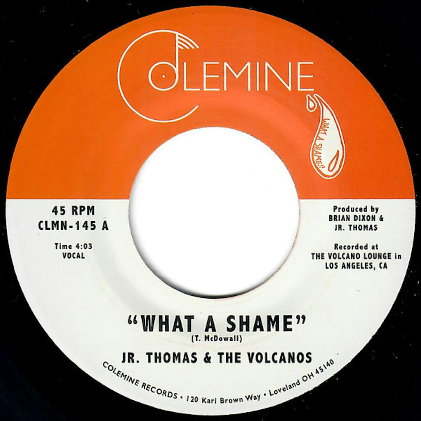 Jr Thomas & The Volcanos WHAT A SHAME / BRIAN WILSON Vinyl Record