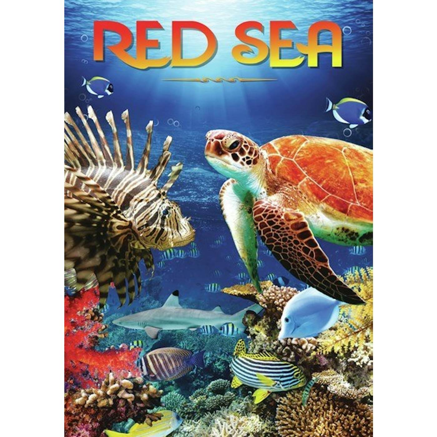 RED SEA DVD