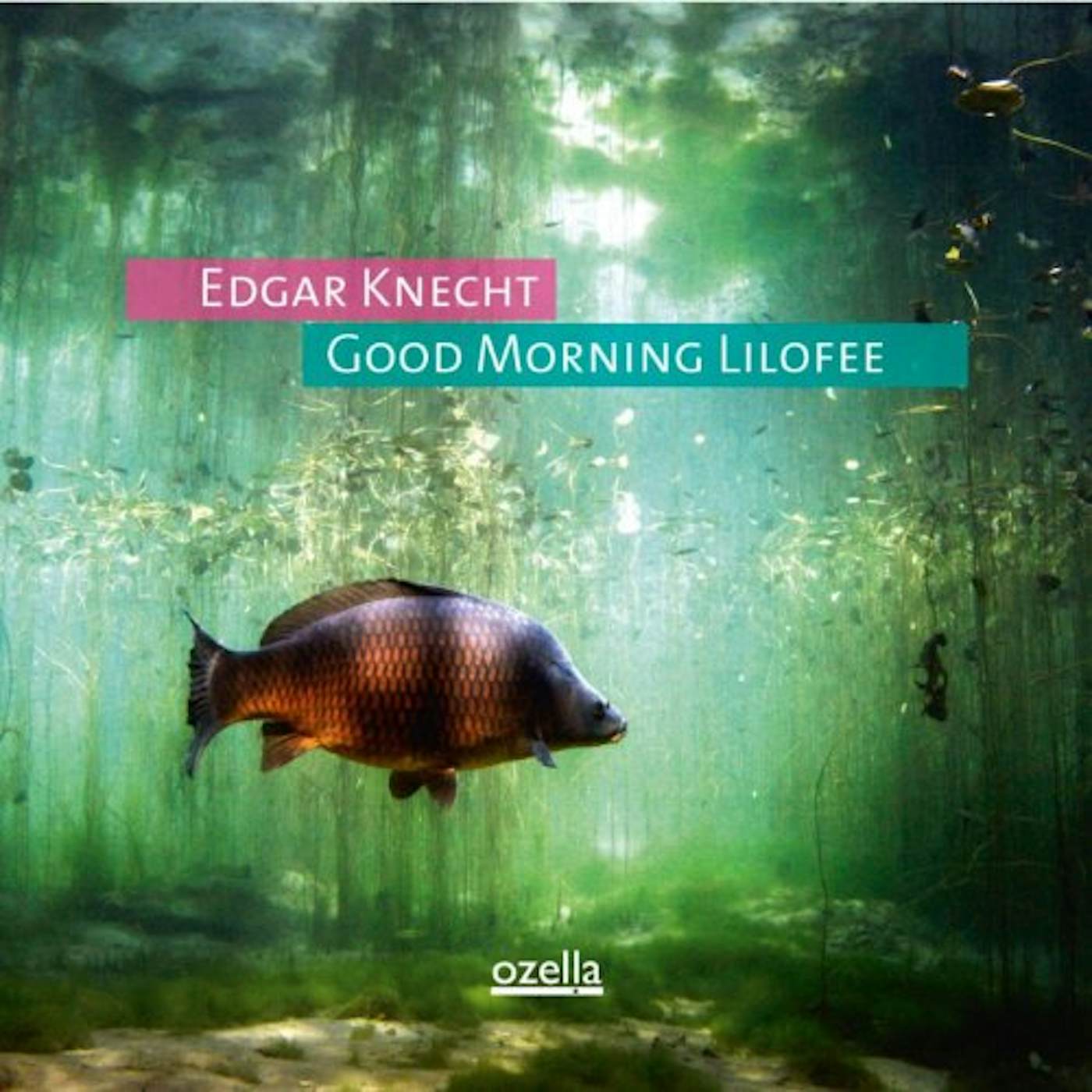 Edgar Knecht Good Morning Lilofee Vinyl Record