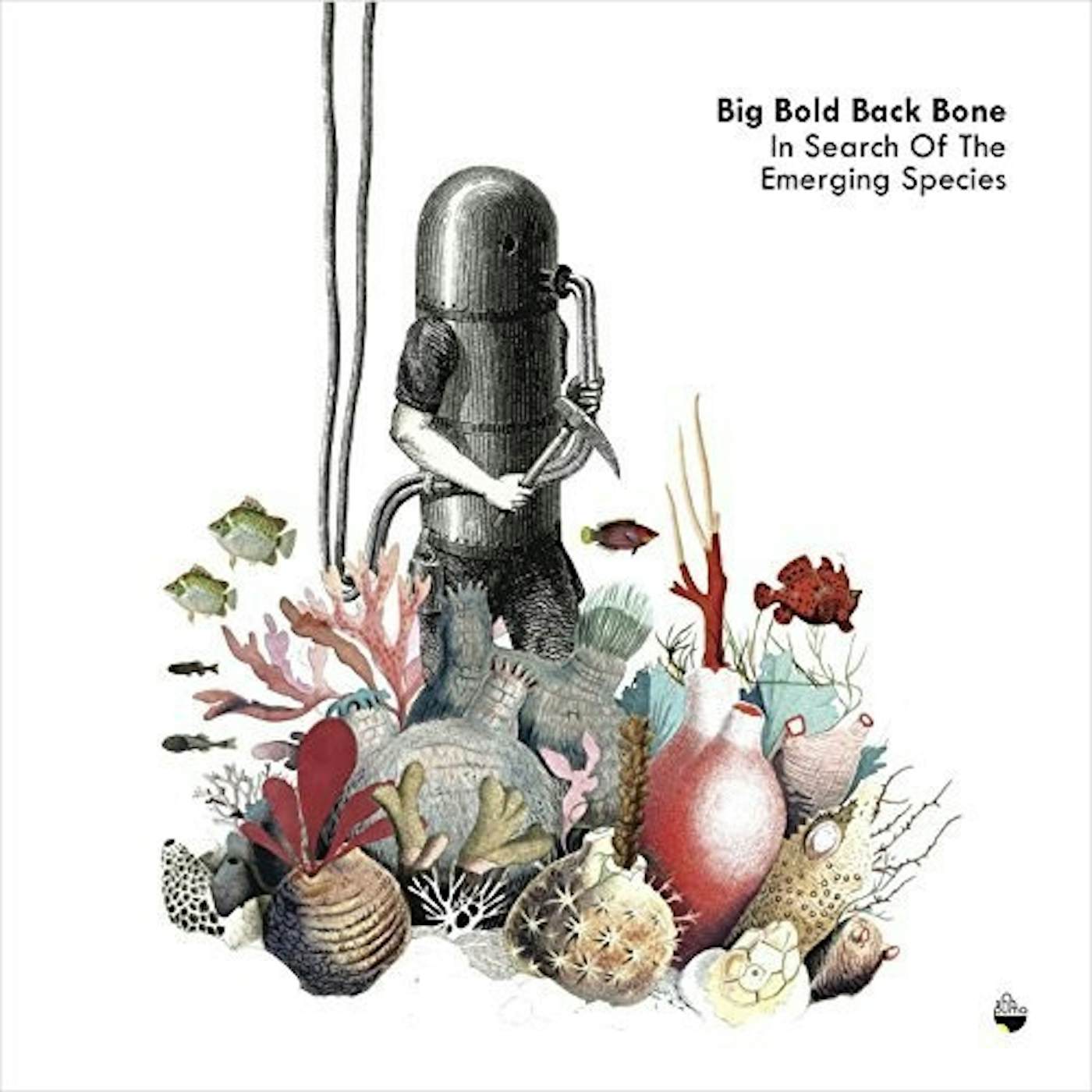 Big Bold Black Bone In Search Of The Emerging Species Vinyl Record