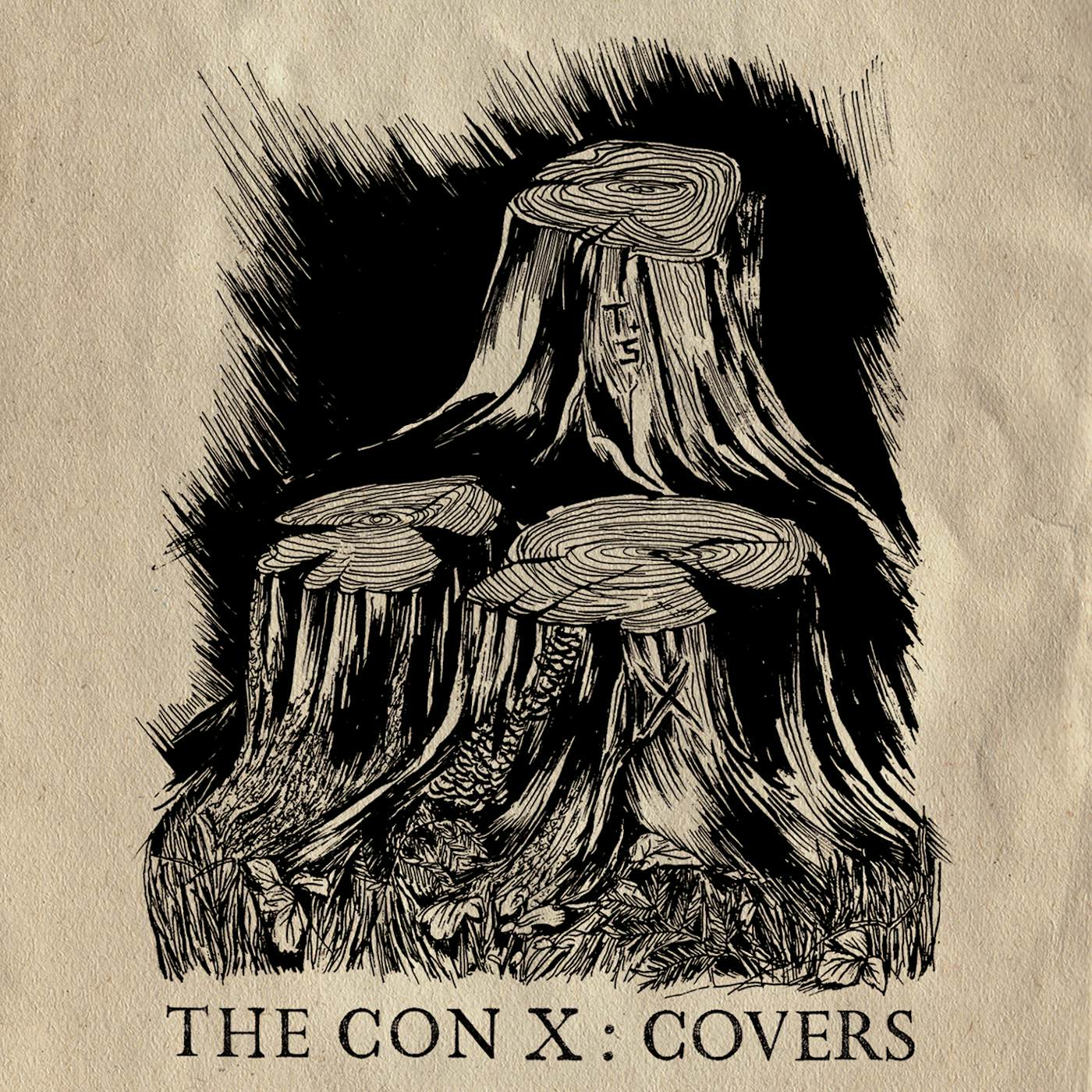 Tegan and Sara CON X: COVERS Vinyl Record