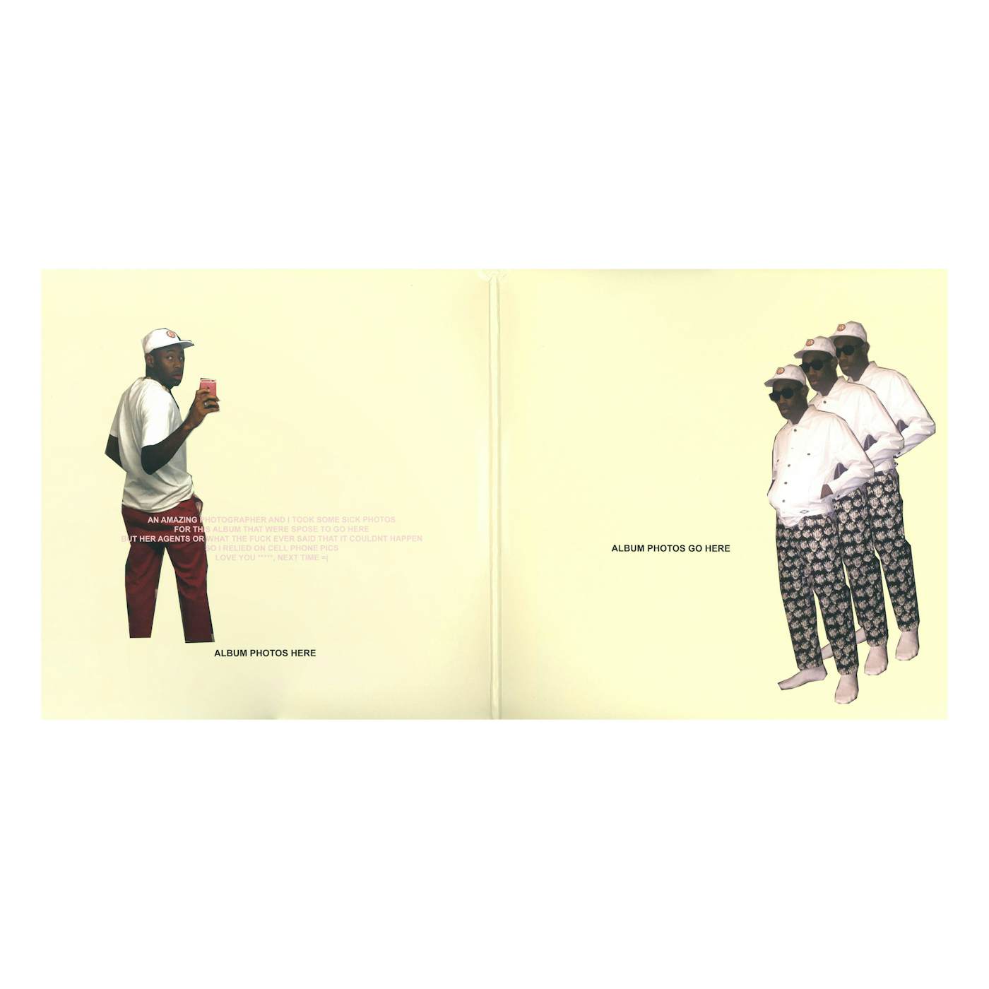 Tyler, the Creator - Flower Boy - Hip-Hop Vinyl LP (Columbia