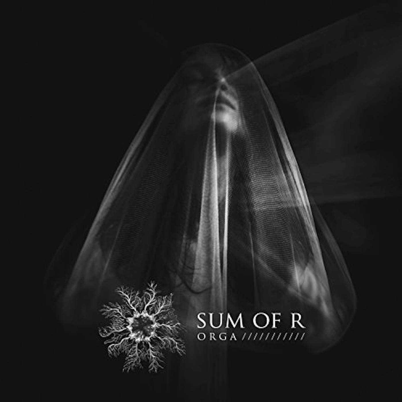 Sum of R Orga Vinyl Record