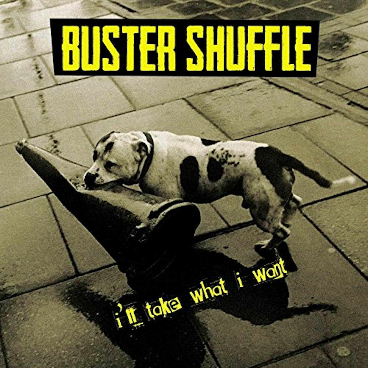 Buster Shuffle I'll Take What I Want Vinyl Record