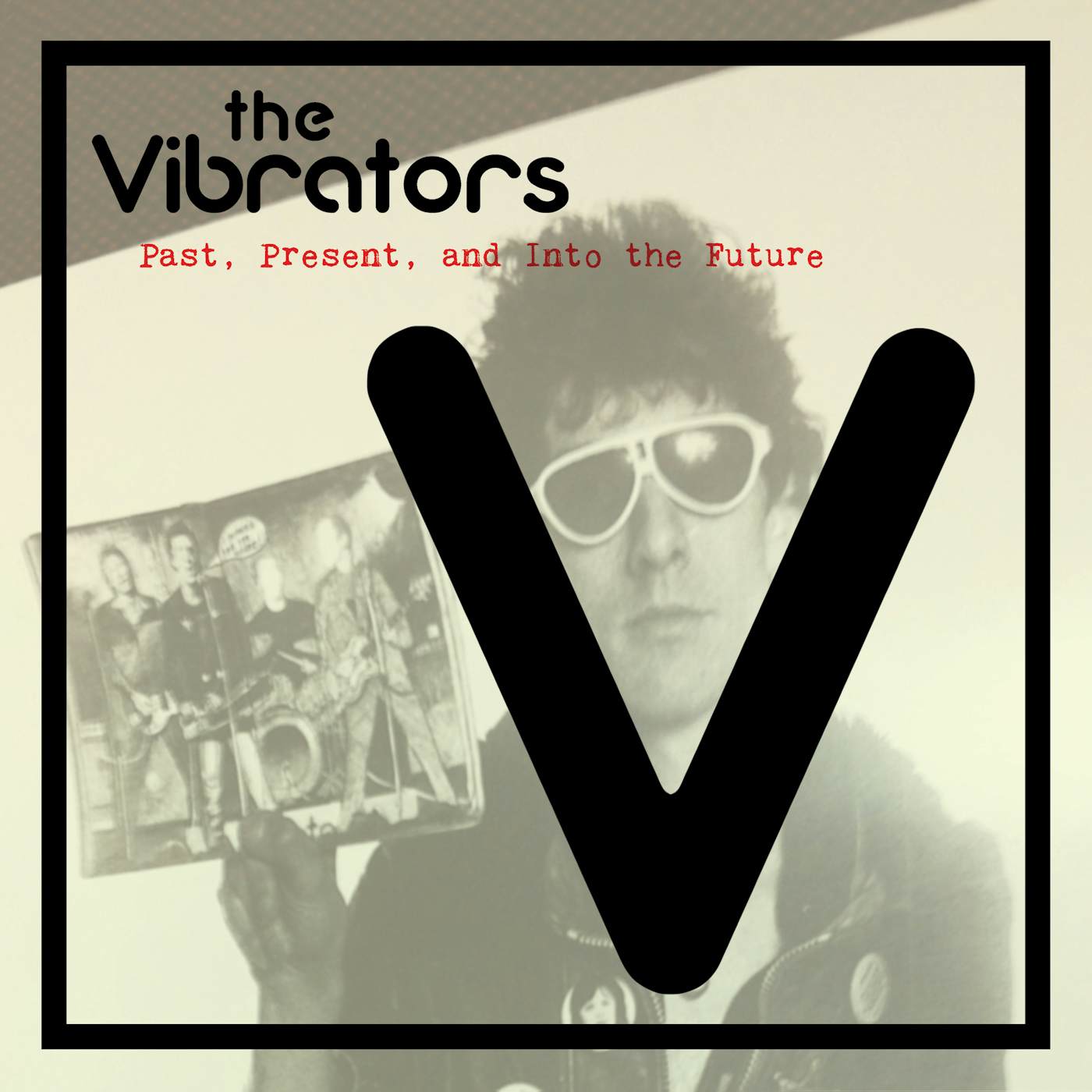 The Vibrators PAST PRESENT AND INTO THE FUTURE Vinyl Record