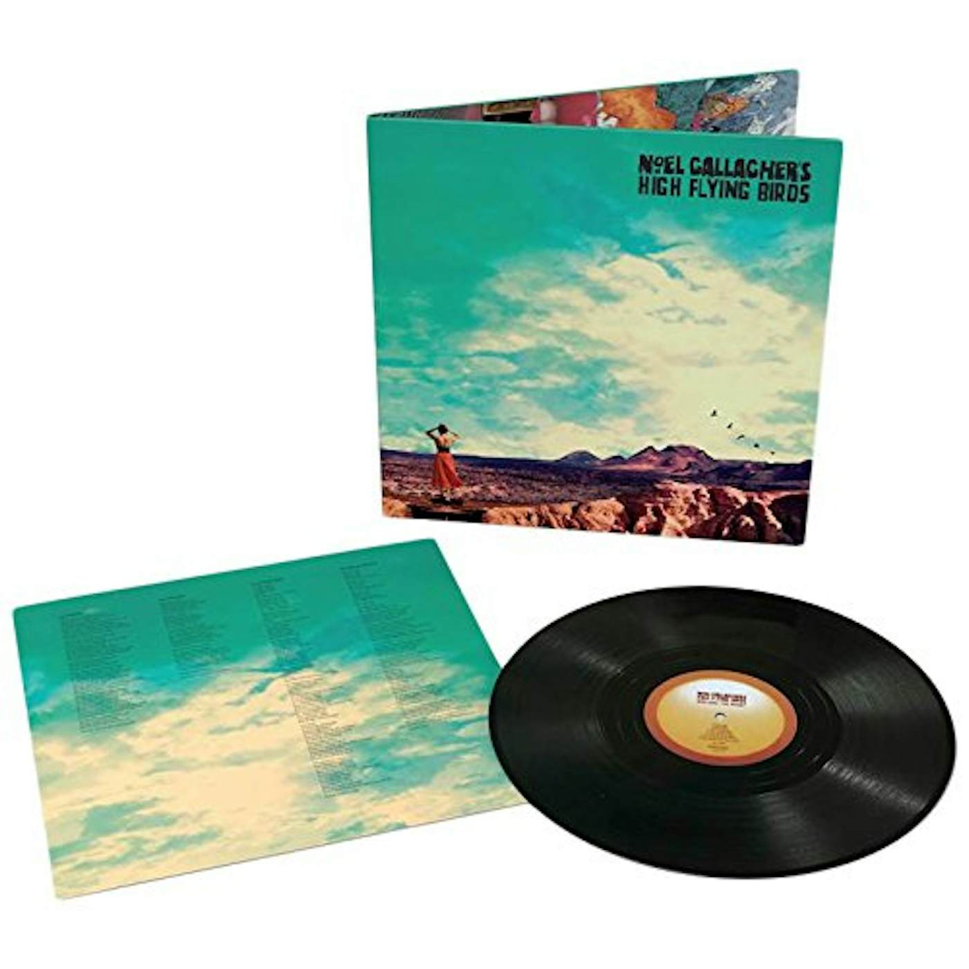 Noel Gallagher's High Flying Birds WHO BUILT THE MOON Vinyl Record