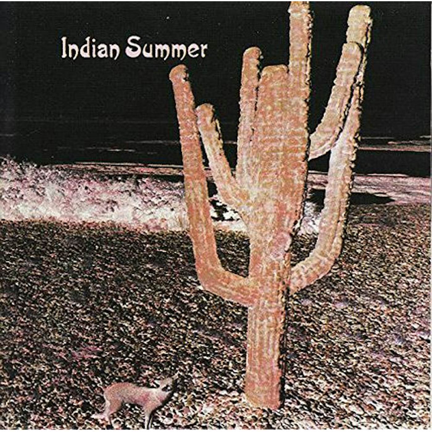 INDIAN SUMMER CD