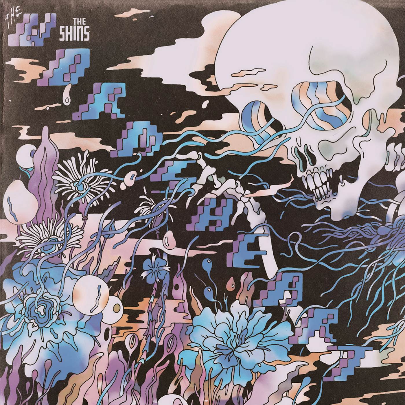 The Shins WORMS HEART CD