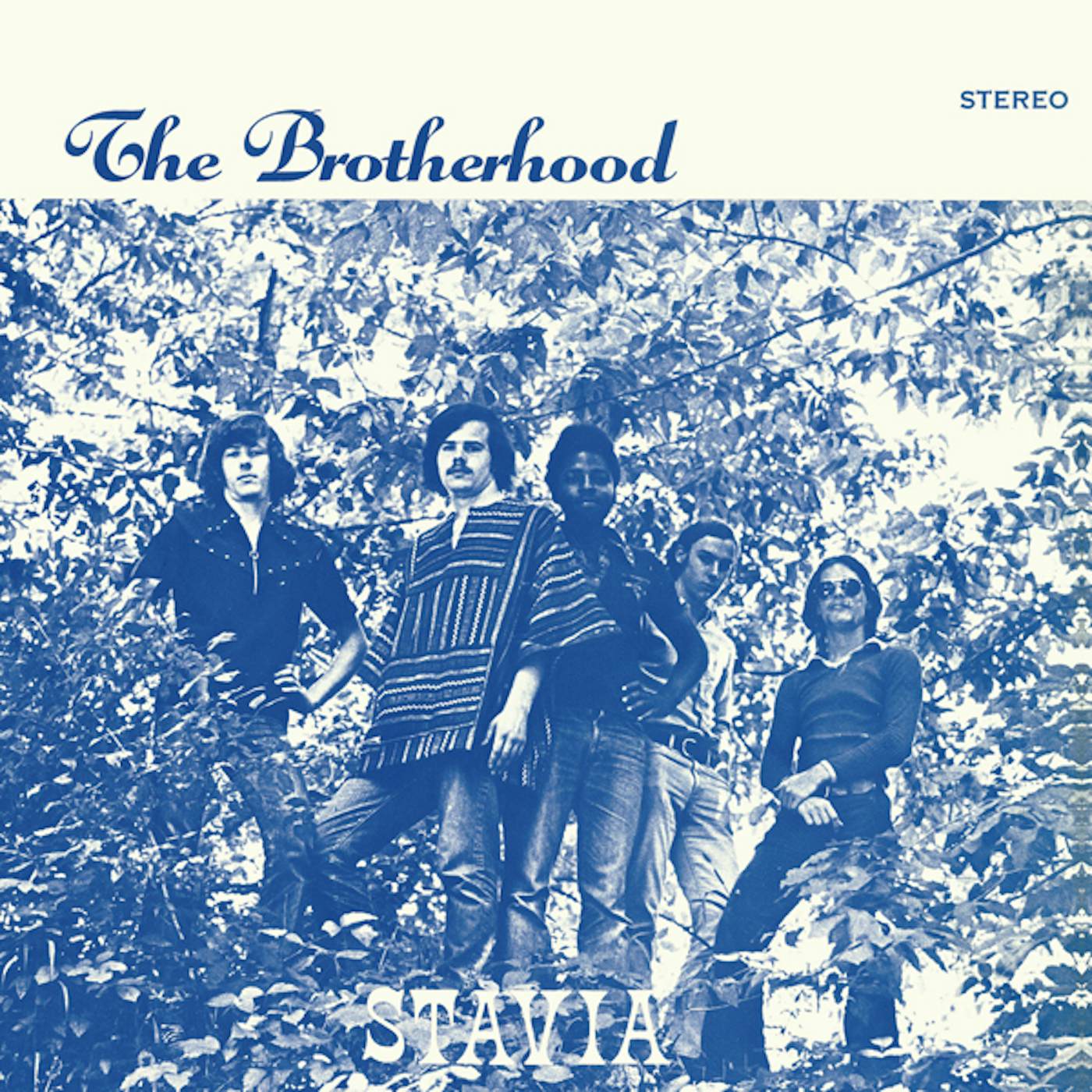 The Brotherhood STAVIA CD