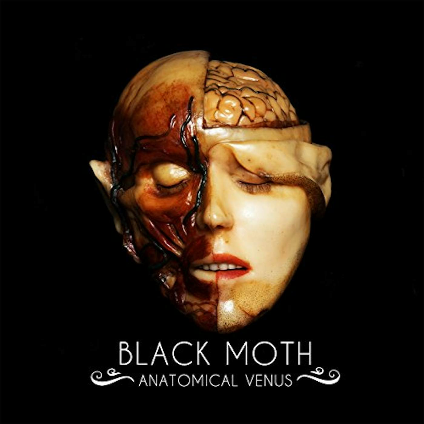 Black Moth ANATOMICAL VENUS CD