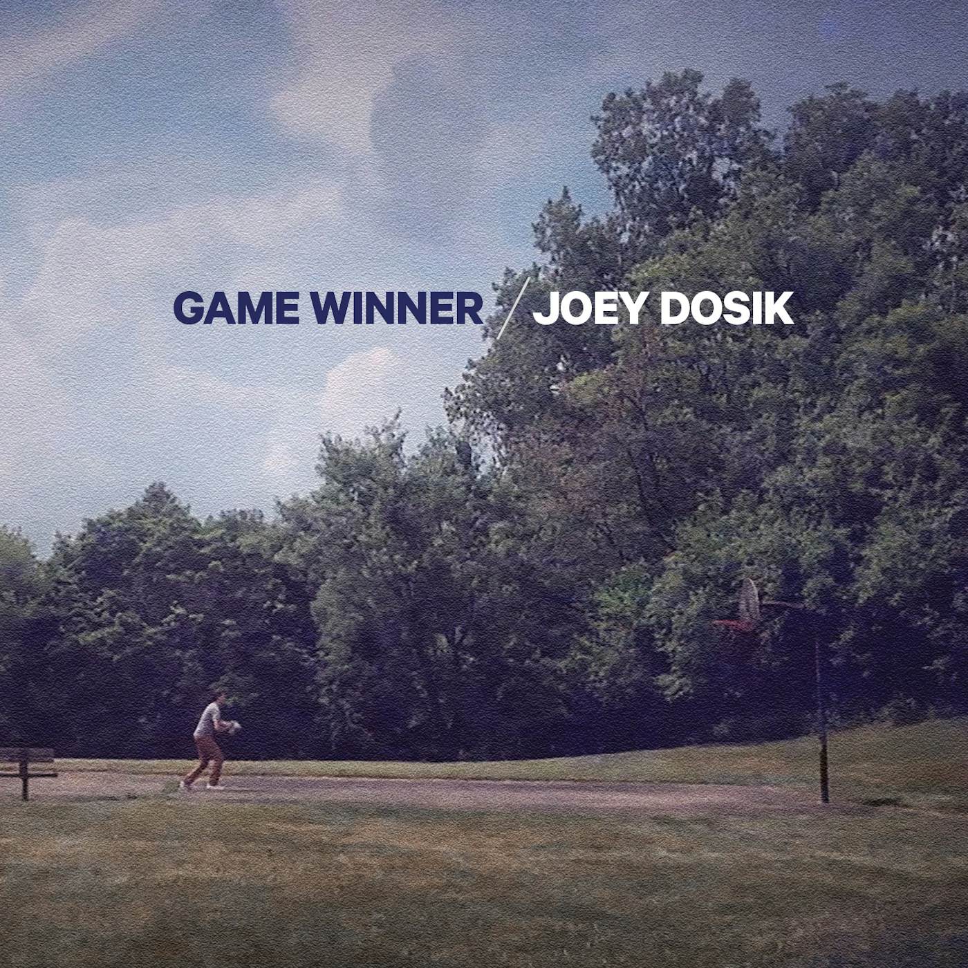 Joey Dosik Game Winner Vinyl Record