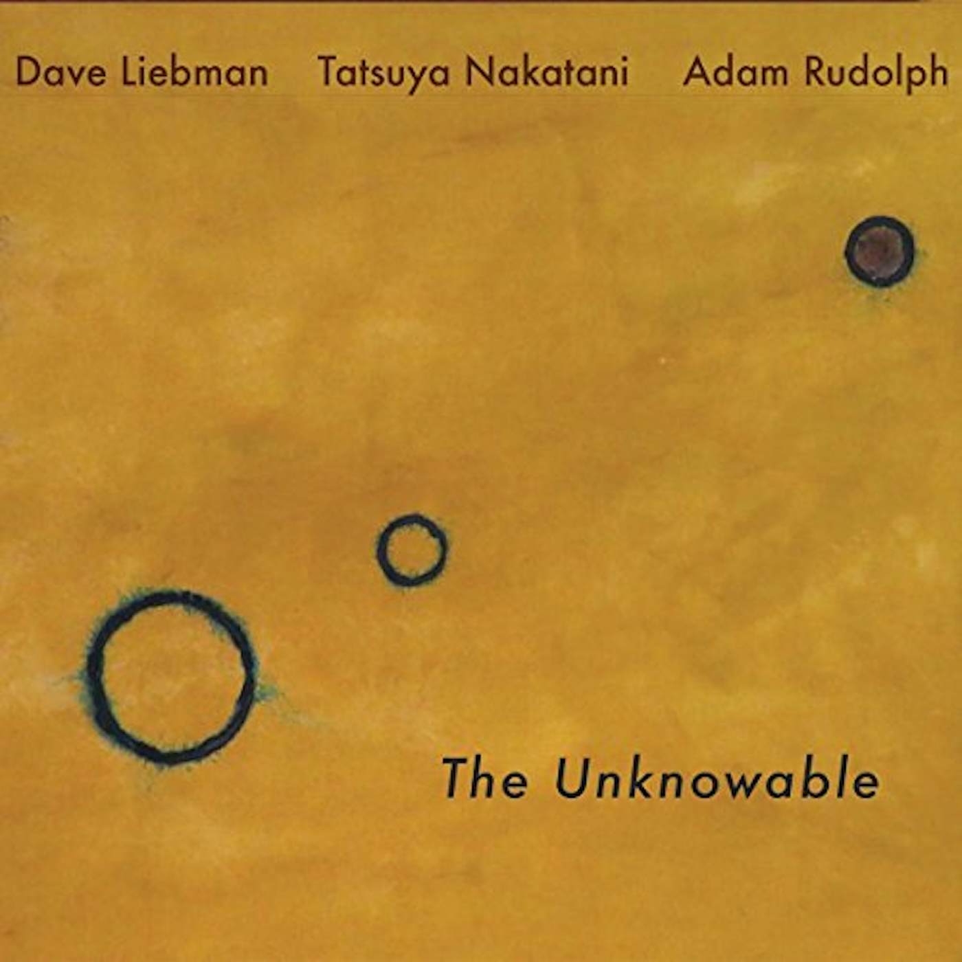 Dave Liebman The Unknowable Vinyl Record