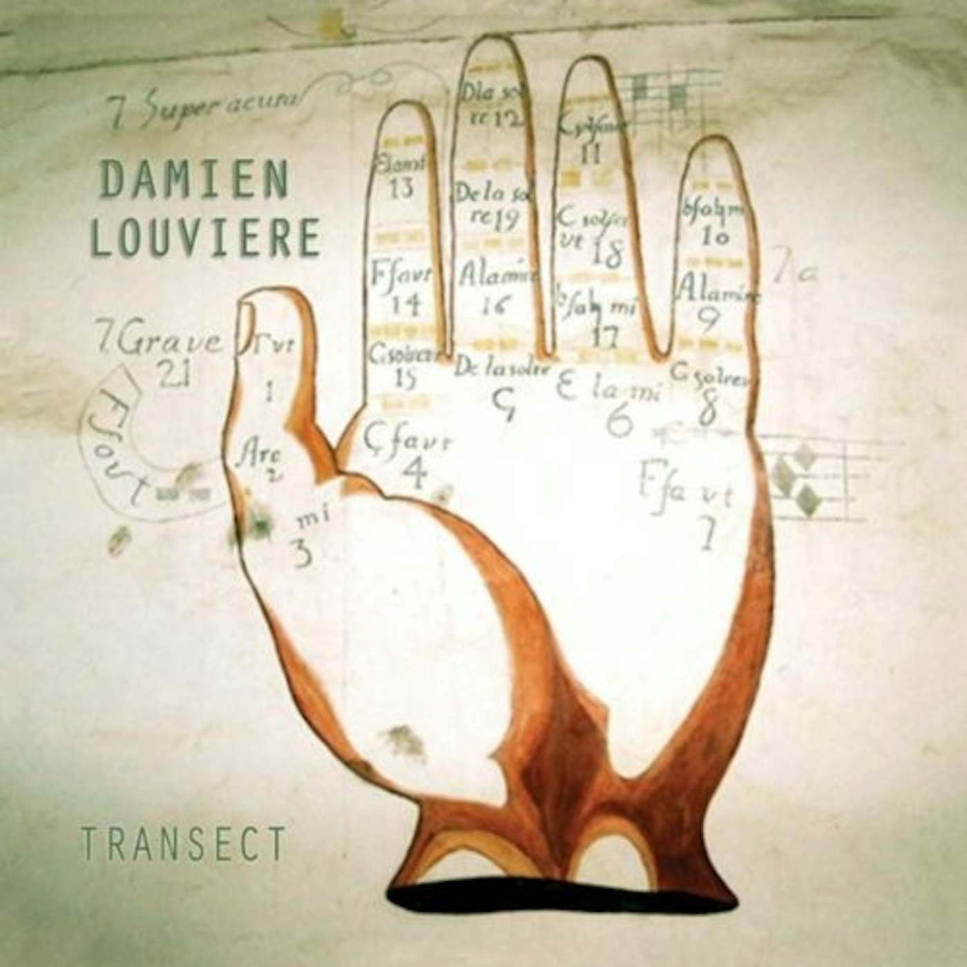Damien Louviere TRANSECT CD