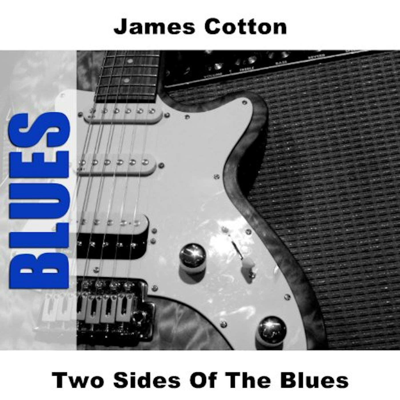 James Cotton TWO SIDES OF THE BLUES CD