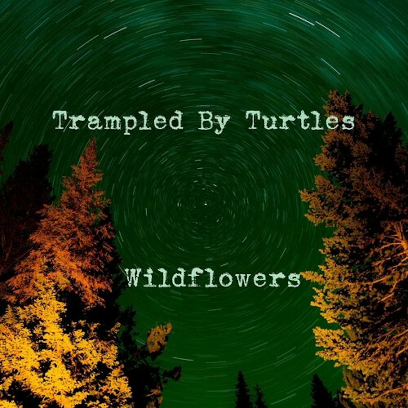 Trampled by Turtles Wildflowers Vinyl Record