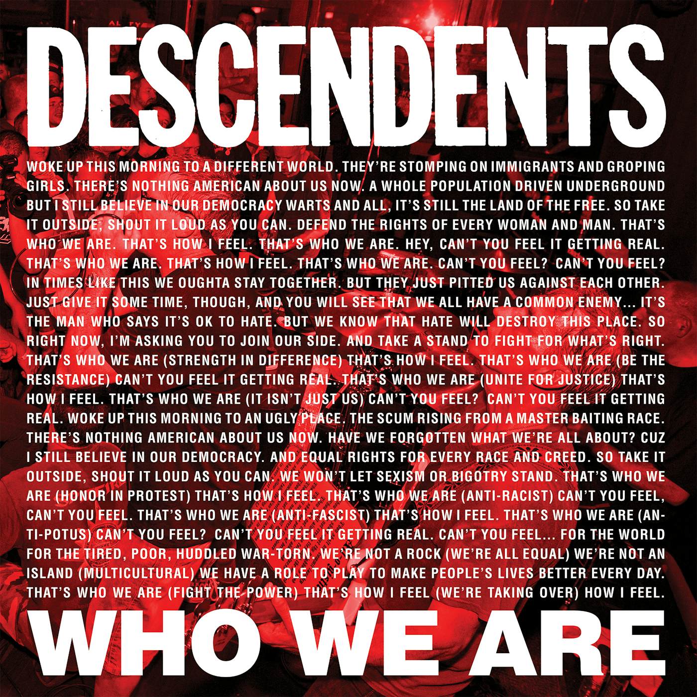 Descendents Who We Are Vinyl Record