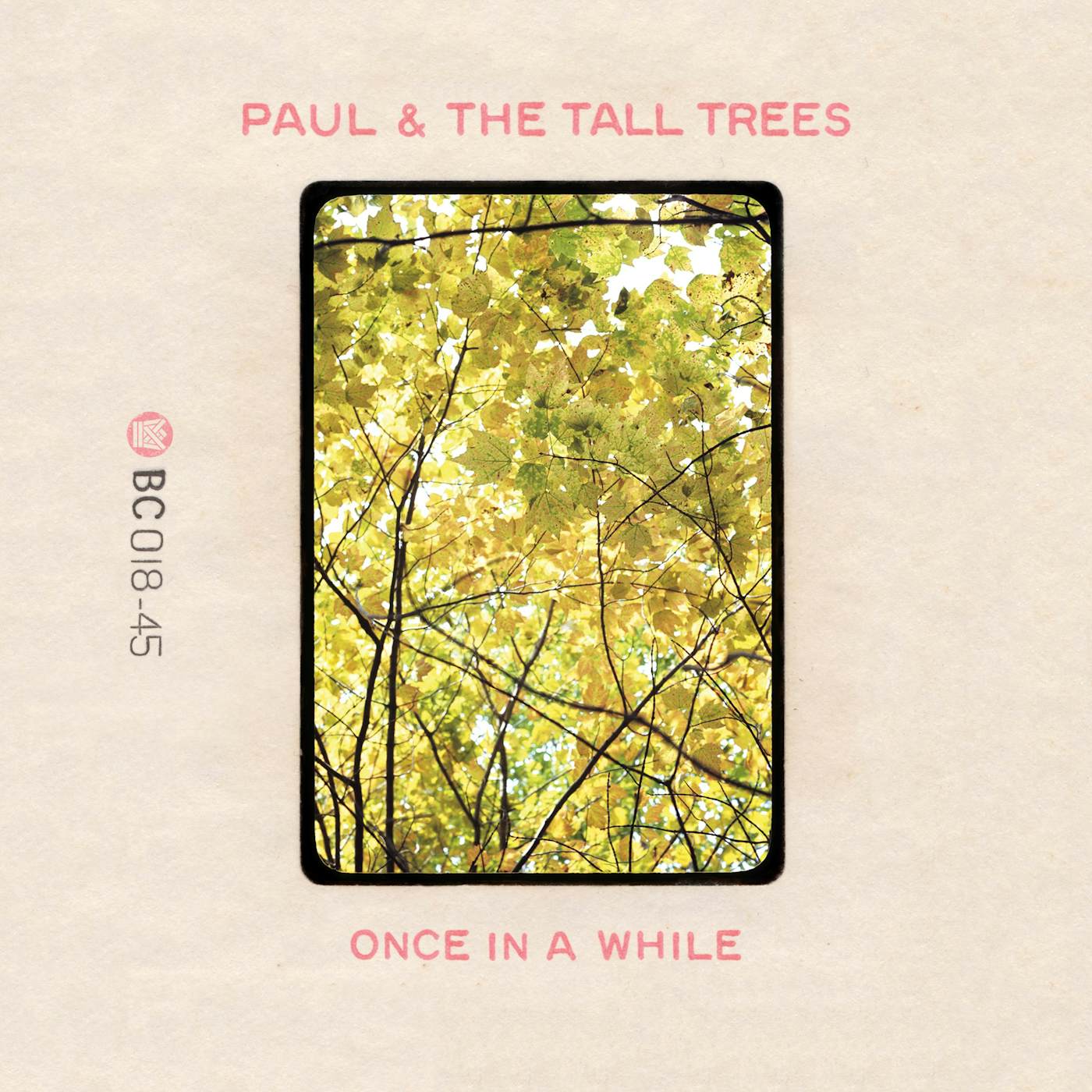 Paul & The Tall Trees LITTLE BIT OF SUNSHINE / ONCE IN A WHILE Vinyl Record
