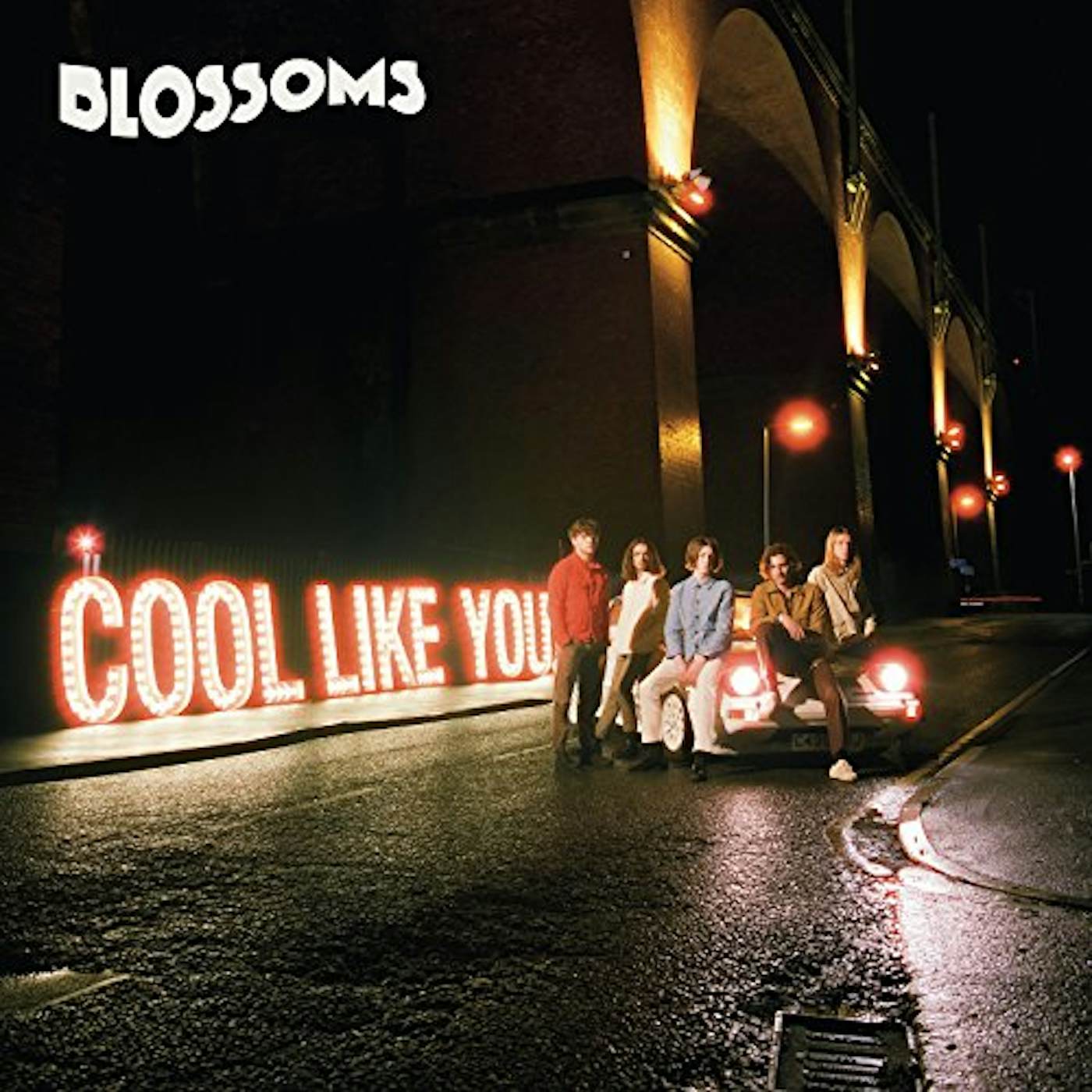 Blossoms Cool Like You Vinyl Record