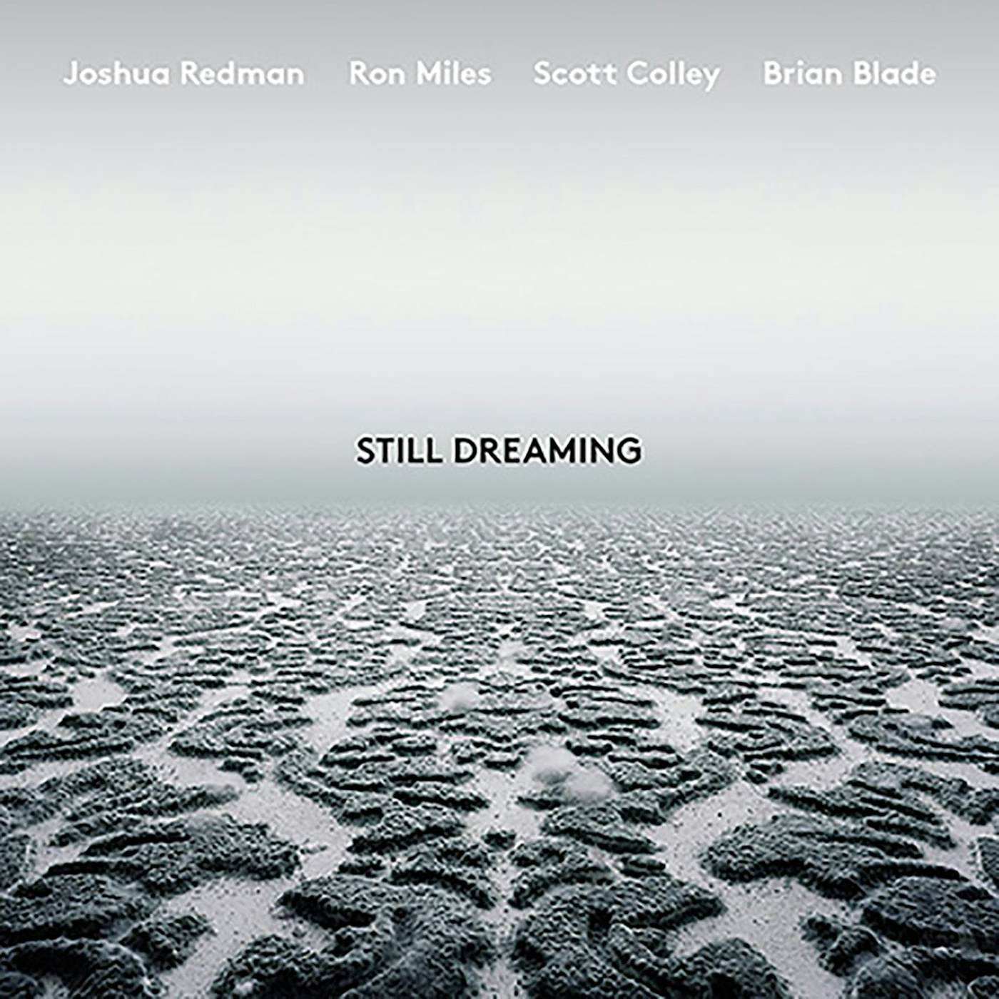 Joshua Redman STILL DREAMING Vinyl Record