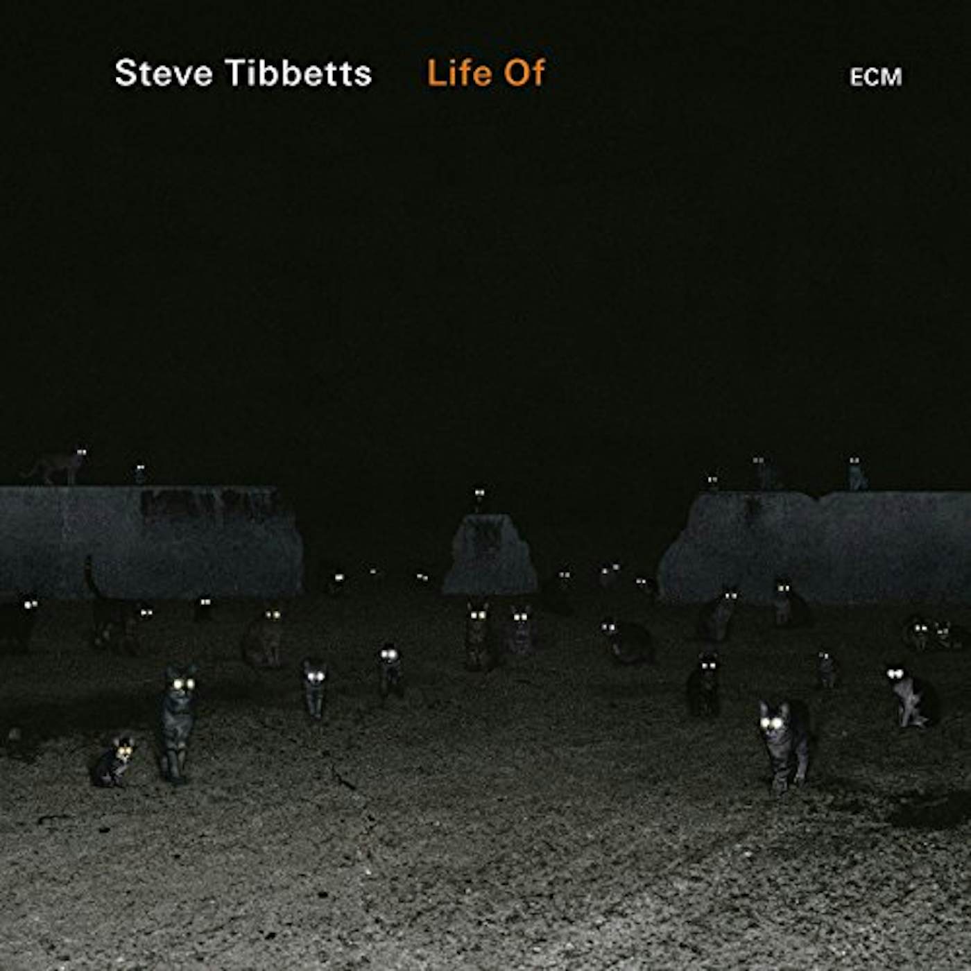 Steve Tibbetts LIFE OF CD