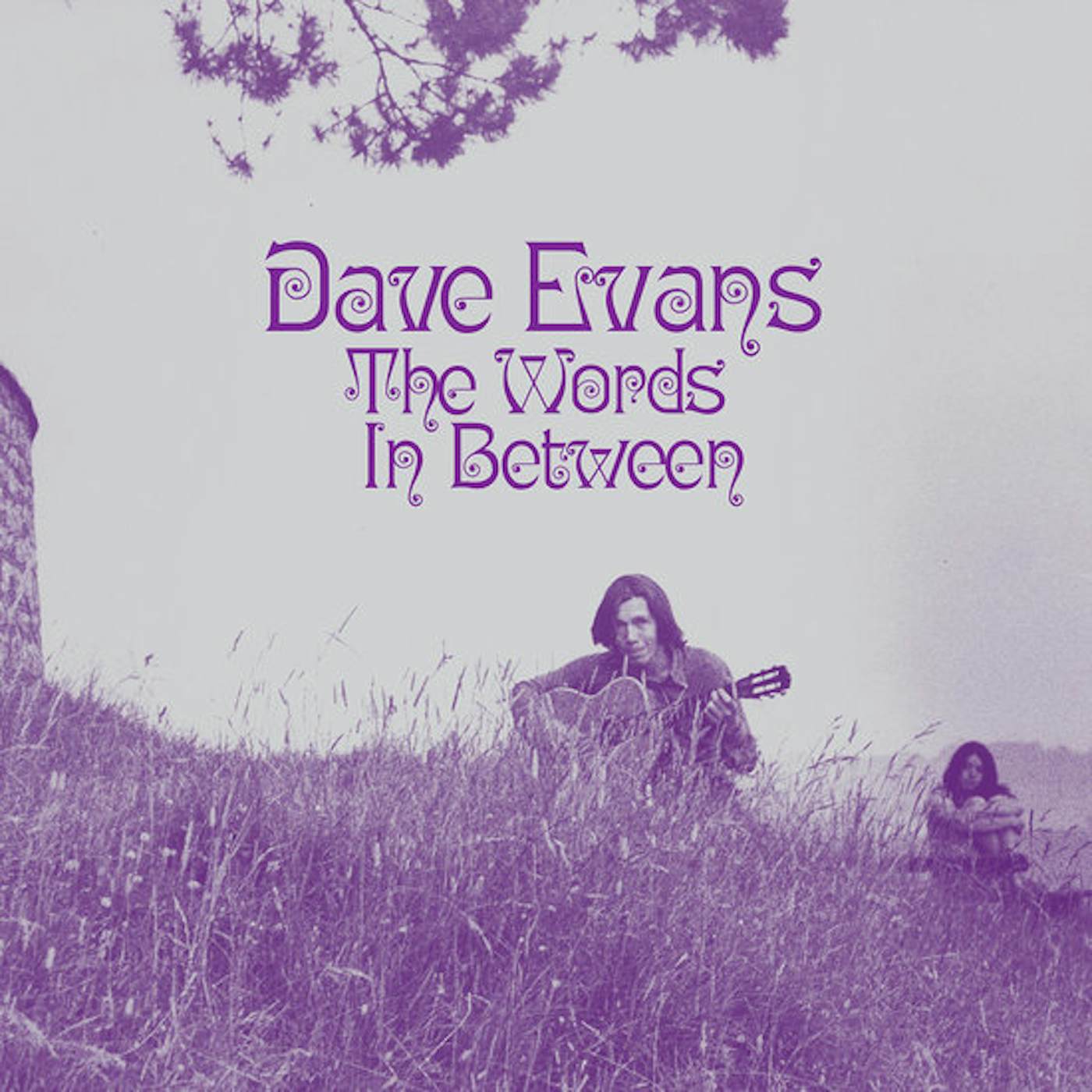 Dave Evans The Words In Between Vinyl Record