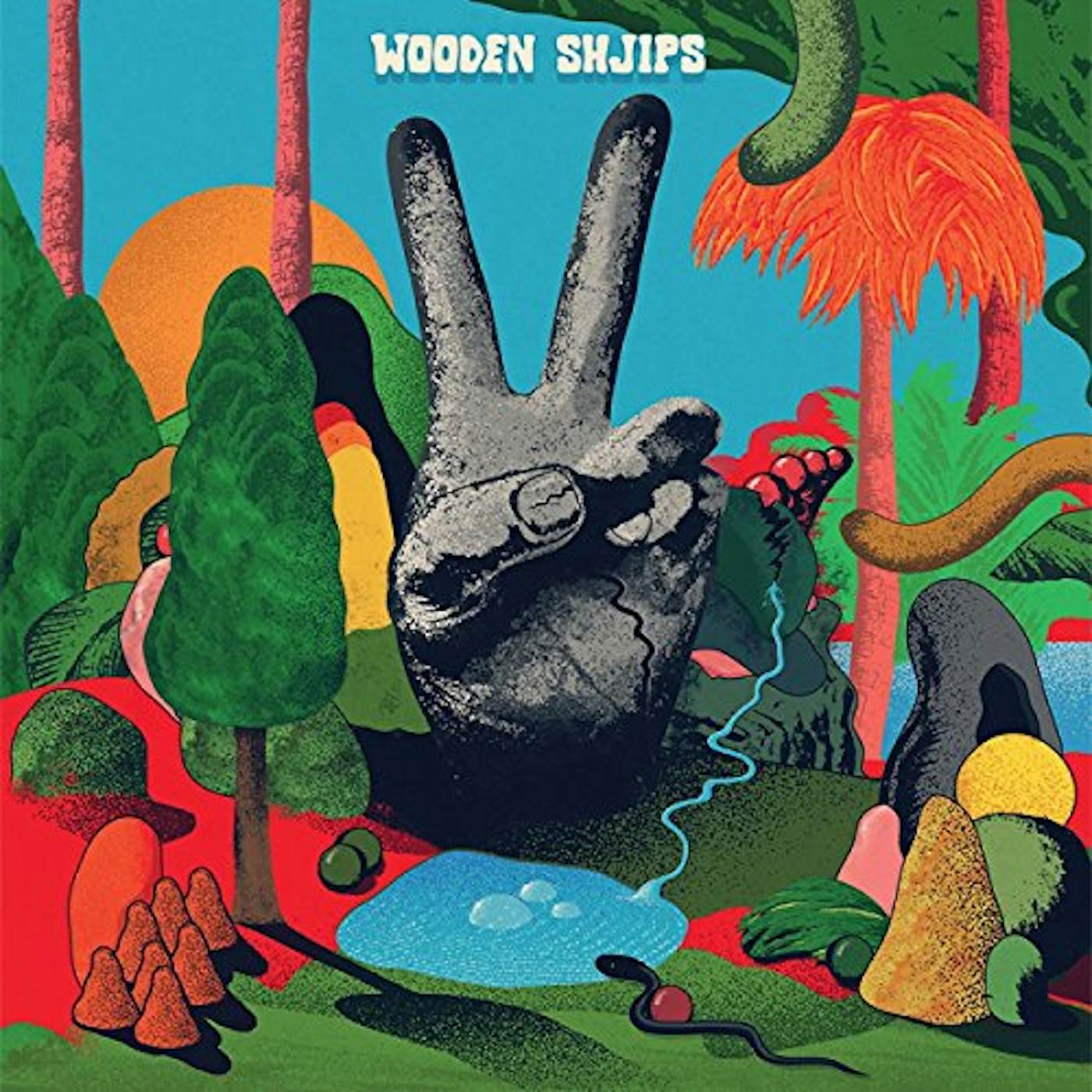 Wooden Shjips V. Vinyl Record