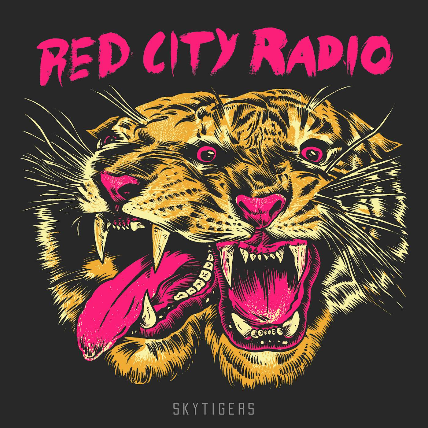 Red City Radio SkyTigers Vinyl Record