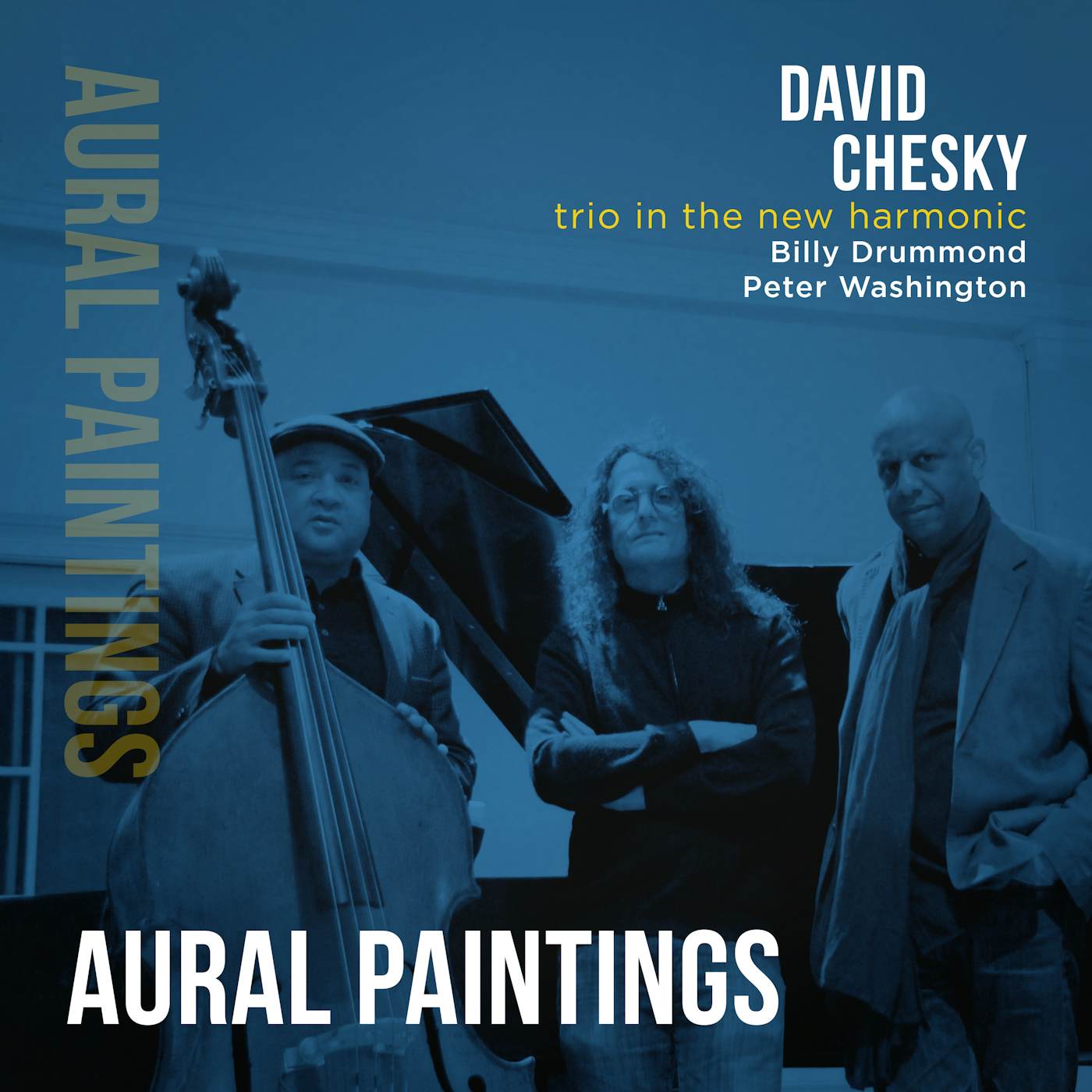 David Chesky TRIO IN THE NEW HARMONIC: AURAL PAINTINGS CD