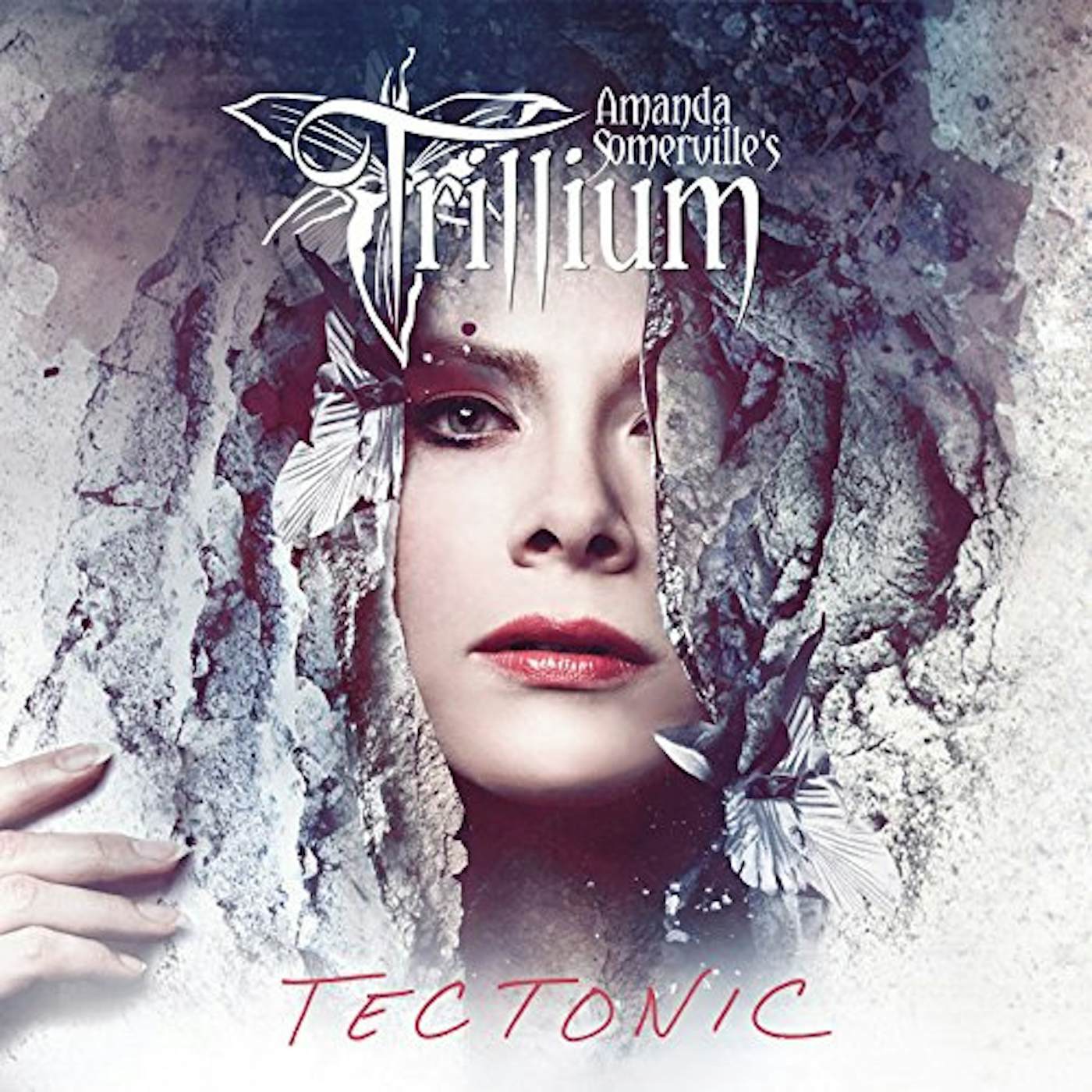 Trillium Tectonic Vinyl Record