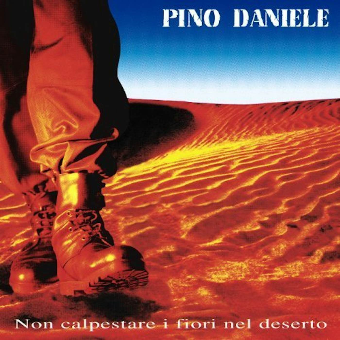 Pino Daniele Non Calpestare I Fiori Nel Deserto Vinyl Record
