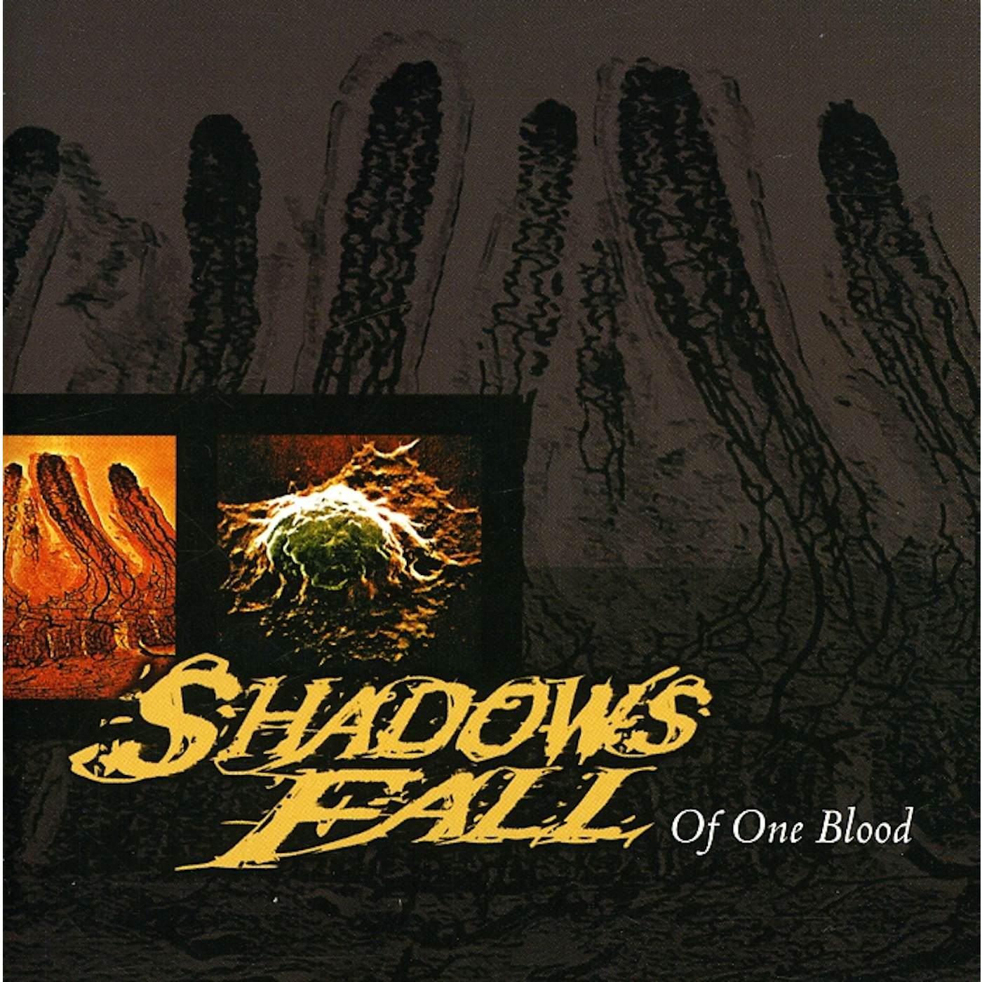 Shadows Fall OF ONE BLOOD CD