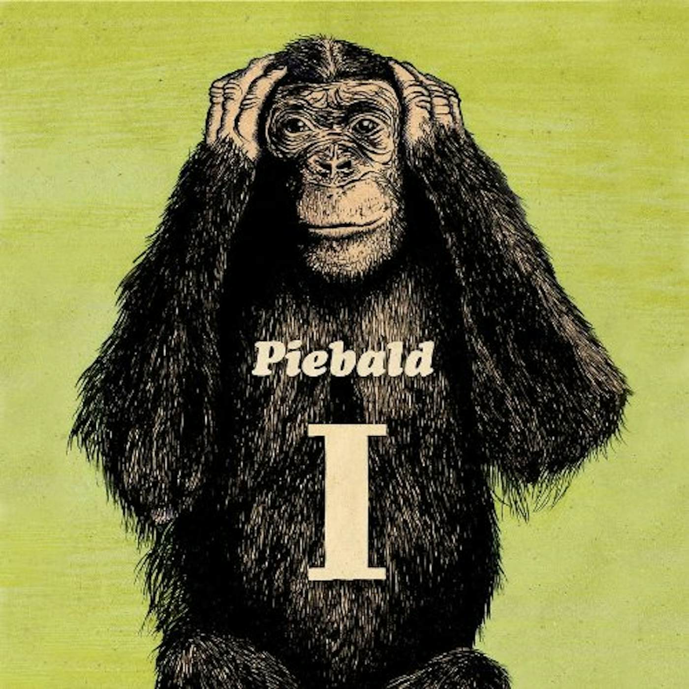Piebald VOLUME 1 CD