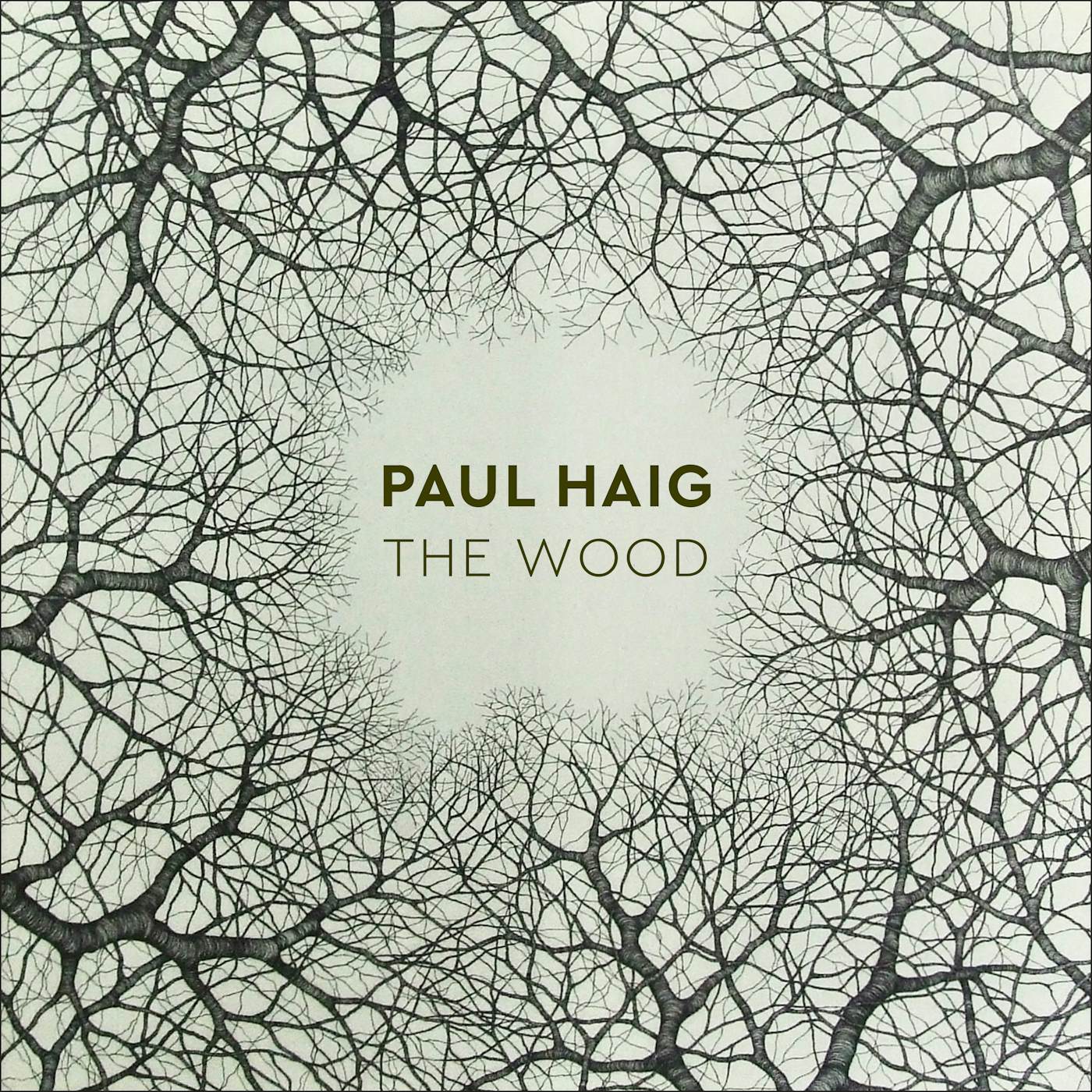 Paul Haig The Wood Vinyl Record