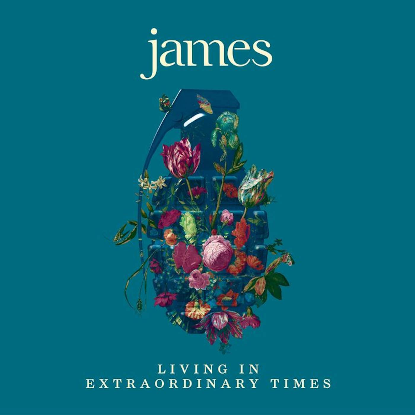 James LIVING IN EXTRAORDINARY TIMES (2LP) Vinyl Record