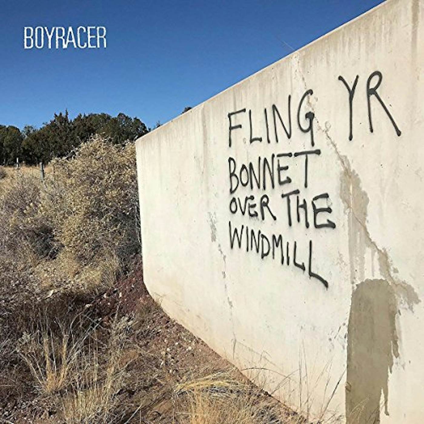 Boyracer FLING YR BONNET OVER THE WINDMILL (SARAH SINGLES) Vinyl Record