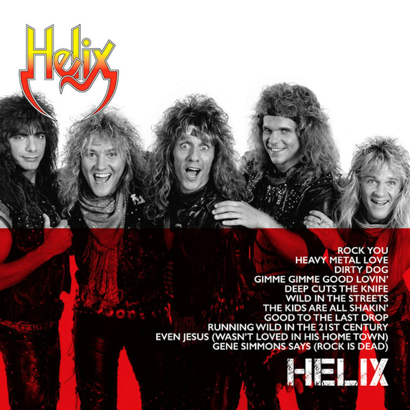 Helix ICON Vinyl Record