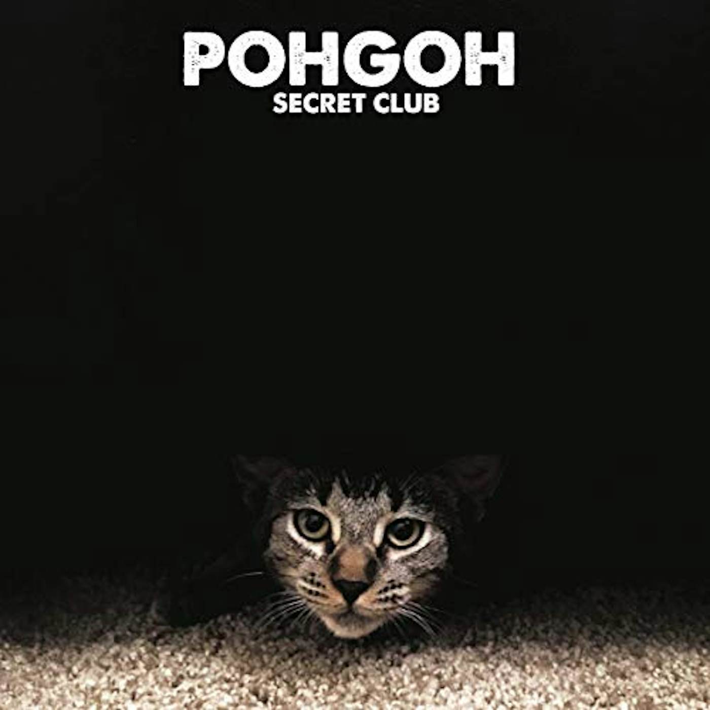 Pohgoh Secret Club Vinyl Record