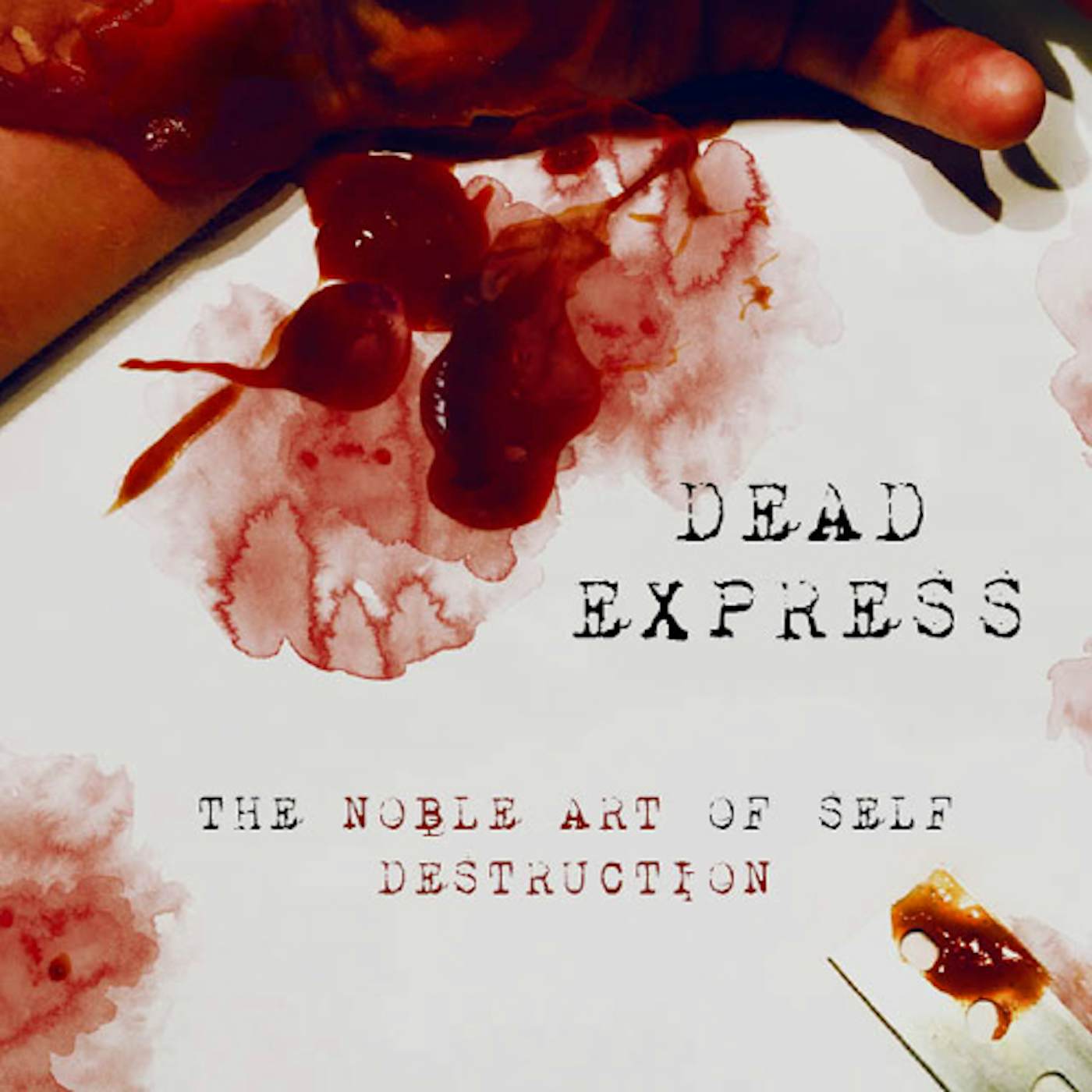 Dead Express THE NOBLE ART OF SELF DESTRUCTION CD