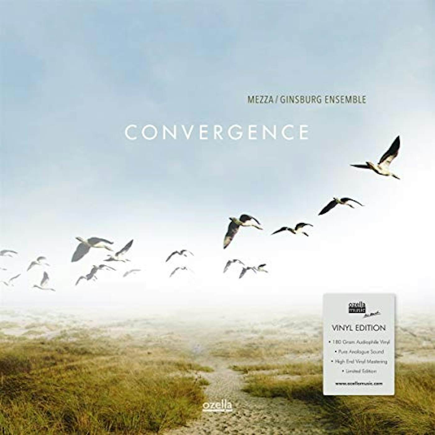 Mezza/Ginsburg Ensemble Convergence Vinyl Record